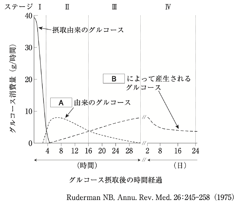 解説画像